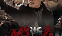 江都谍影全集在线观看,揭秘抗战风云中的隐秘战线