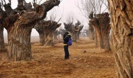 西安湿地公园爆料视频,自然美景引网友热议