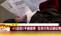 山中色谭在线观看,揭秘隐秘山林的奇幻色彩之旅