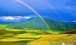 美景之年在线观看,在线畅游视觉盛宴