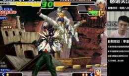 鸭王手机视频在线观看,畅享在线娱乐新体验