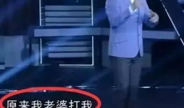 日本王自健爆料视频播放,揭秘幕后的惊人真相