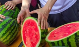 免费的超大尺度吃瓜群,揭秘娱乐圈幕后真相