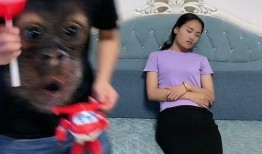 对口型爆料视频,真相与幕后黑幕大曝光