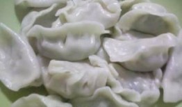 鲅鱼饺子爆料视频教程下载,视频详解，轻松学会家常美味