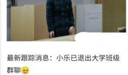 柴森妻子爆料视频,揭秘夫妻关系背后的真相