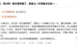 一条小团团新闻爆料是真的吗,真相还是谣言？