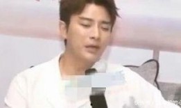 爆料贾乃亮复播视频大全,全面回顾复出之路