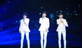 源玺爆料王俊凯视频,源玺爆料背后的故事