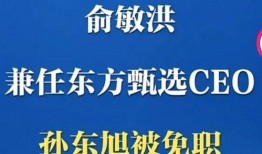 员工爆料孙东旭视频播放,揭秘职场真相与人性较量