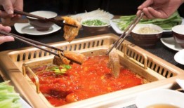 中国美食爆料视频下载,一网打尽中国各地特色佳肴