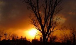 电影天欲在线观看,揭秘神秘力量，探寻人性深渊的惊悚之旅