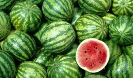 爆料中国吃瓜视频大全最新,热门爆料，趣味横生，带你领略网络热点！