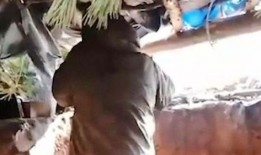 伞兵爆料最新动态视频,揭秘神秘训练与实战演练