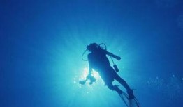 潜水博主视频爆料,博主亲历水下奇观