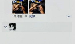 网恋失败爆料视频在线观看,揭秘网络爱情的真相与教训