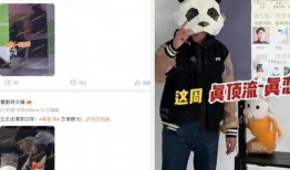 狗仔刘大锤爆料白鹿视频,白鹿视频内容引发热议