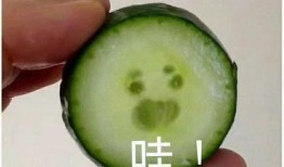 微信网红吃瓜视频在哪看,微信平台热门内容一览