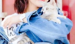 圈内爆料邓伦李沁,甜蜜互动引粉丝热议