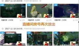 爆料贾乃亮复播视频大全,全面回顾复出之路