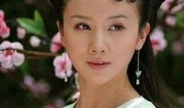 孙菲菲被王薇爆料视频,真相与争议交织