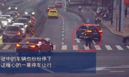 老司机爆料塔姆视频大全,塔姆视频大全背后的精彩瞬间