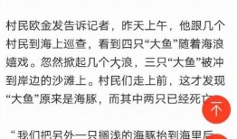 莆田案最新爆料,揭开医疗乱象背后的惊人内幕