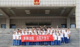 天津东丽法院最新爆料,案件细节及进展全解析