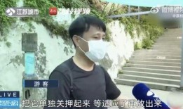 网友拍到网红吃瓜怎么办,网友热议不断