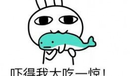 娱乐吃瓜酱果然真诚,揭秘娱乐圈真诚背后的故事