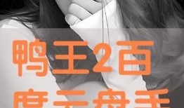 鸭王手机视频在线观看,畅享在线娱乐新体验