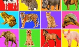 动物世界在线免费观看,免费畅享动物世界精彩瞬间