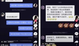 抖音吃瓜网站免费,揭秘热门事件背后的真相，免费畅享娱乐盛宴！
