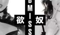 欲奴第一季在线观看,欲望深渊的诱惑之旅