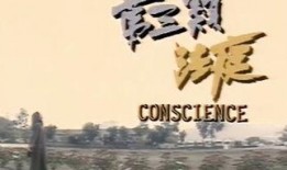 第三类法庭在线观看,在线观看解锁司法新视角