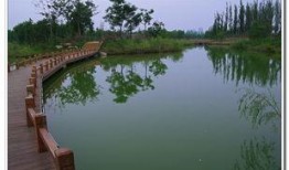 西安湿地公园爆料视频,自然美景引网友热议