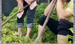 吃瓜群众娱乐八卦,吃瓜群众揭秘明星幕后故事