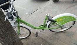 石家庄单车爆料最新消息,最新动态揭示城市共享单车发展新趋势