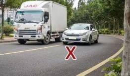 美媒爆料卡车夫妻视频播放,美媒爆料的温馨瞬间引网友热议