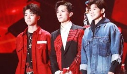 源玺爆料王俊凯视频,源玺爆料背后的故事