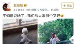 圈内人士爆料赵丽颖离婚,圈内人士爆料，真相究竟如何？