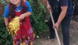 今日农村爆料视频大全,揭秘乡村生活百态