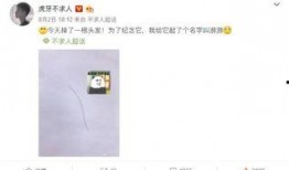 不求人微博最新爆料,揭秘娱乐圈惊人内幕！”