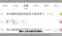 大锤爆料预告视频在线观看,揭秘幕后故事，精彩瞬间抢先看