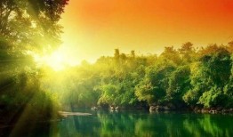 美景之年在线观看,在线畅游视觉盛宴