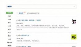 大群在线观看 - 百度,揭秘神秘社交网络的奇幻之旅