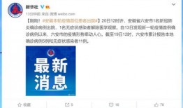 爆料视频来源于网络,真实事件背后的惊人真相