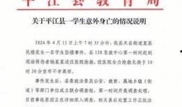 湖南岳阳新闻爆料,惊现神秘事件，真相令人震惊！