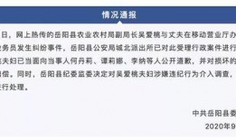 湖南岳阳新闻爆料,惊现神秘事件，真相令人震惊！