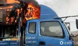 美媒爆料卡车夫妻视频播放,美媒爆料的温馨瞬间引网友热议